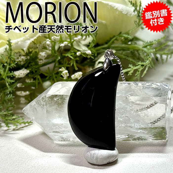 ��ꥪ�� AAA �ڥ����� �ϡ��եࡼ�� �ڥ����ȥȥåסڴ��̽��դ��۹��徽 ���٥åȻ� AAA ŷ���� �ѥ���ȡ���ڥ�ꥪ������Ź morion ����...