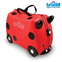 LbY X[cP[X gLyėVׂqpX[cP[XzChIEgL/fBoOEn[C/trunki