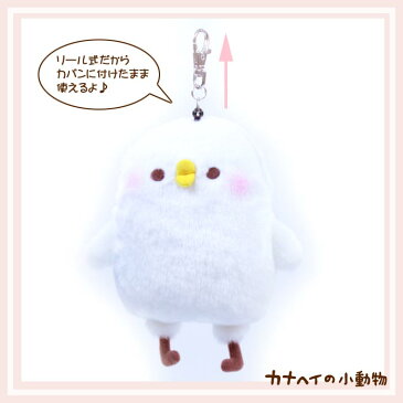 カナヘイの小動物 鳥 / リールパス #K6831/ kanahei's small animals かなへい