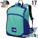 ノースフェイス キッズ リュック【17L】レクタング【バッグ キャンプ バックパック リュック 子供用 ジュニアサイズ】North Face Rectang