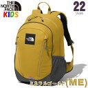 ノースフェイス キッズ リュック ラウンディ 【22L】North Face 【バッグ キャンプ バックパック リュック 子供用 ジュニアサイズ】