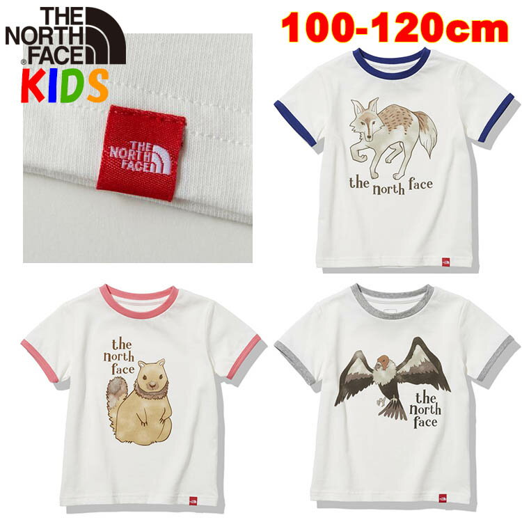 送料込価格 ノースフェイス キッズ オーガニックコットン 半袖Tシャツ アニマルティー【100-120cm】 男の子女の子おしゃれアウトドアブランド North Face Animal T-Shirt