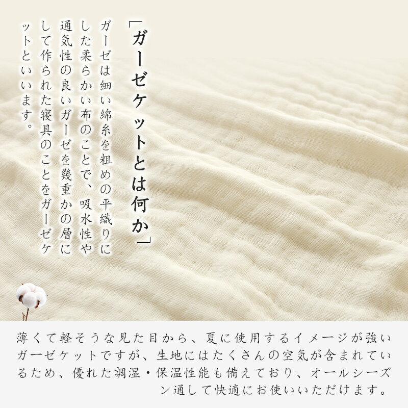 �ֲ��ÿ������1000��OFF�����ݥ��6�ť��������å� ��100% ̵ź�� �Ҵ�ȩ ���餫�� ȩ��ͥ���� �¿� ������ �٥ӡ� �դ��� ���󥰥� ������ �����ɽ� �ɥ��� ������ ���å� ���åȥ󥱥å� �̵� ®�� �����륱�å� �֥�󥱥å� ���뿲 ȩ���� ���ѥ��������å� 6�ť�����