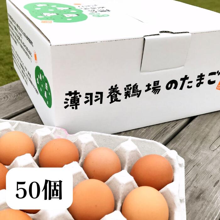 薄羽養鶏場の黒麹育ちの赤たまご 50個