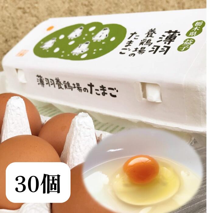 商品説明 名称 鶏卵(生食用) 内容量 30個 産地名 栃木県・益子町産 選別包装者 合同会社薄羽養鶏場 栃木県芳賀郡益子町塙2588 賞味期限 商品発送日より凡そ3週間。 賞味期限の紙を商品の中に入れてあります。 保存方法 お買い上げ後は冷蔵庫(10°C以下)で保存してください。 使用方法 生で食べる場合は賞味期限内に使用し、賞味期限経過後及び殻にヒビの入った卵を飲食に供する際は、なるべく早めに、充分に加熱調理してお召し上がりください。