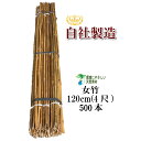 女竹 120cm 500本 篠竹 竹支柱 添え木 園芸用 農業用 定植時支柱 天然竹 竹 支柱 篠竹
