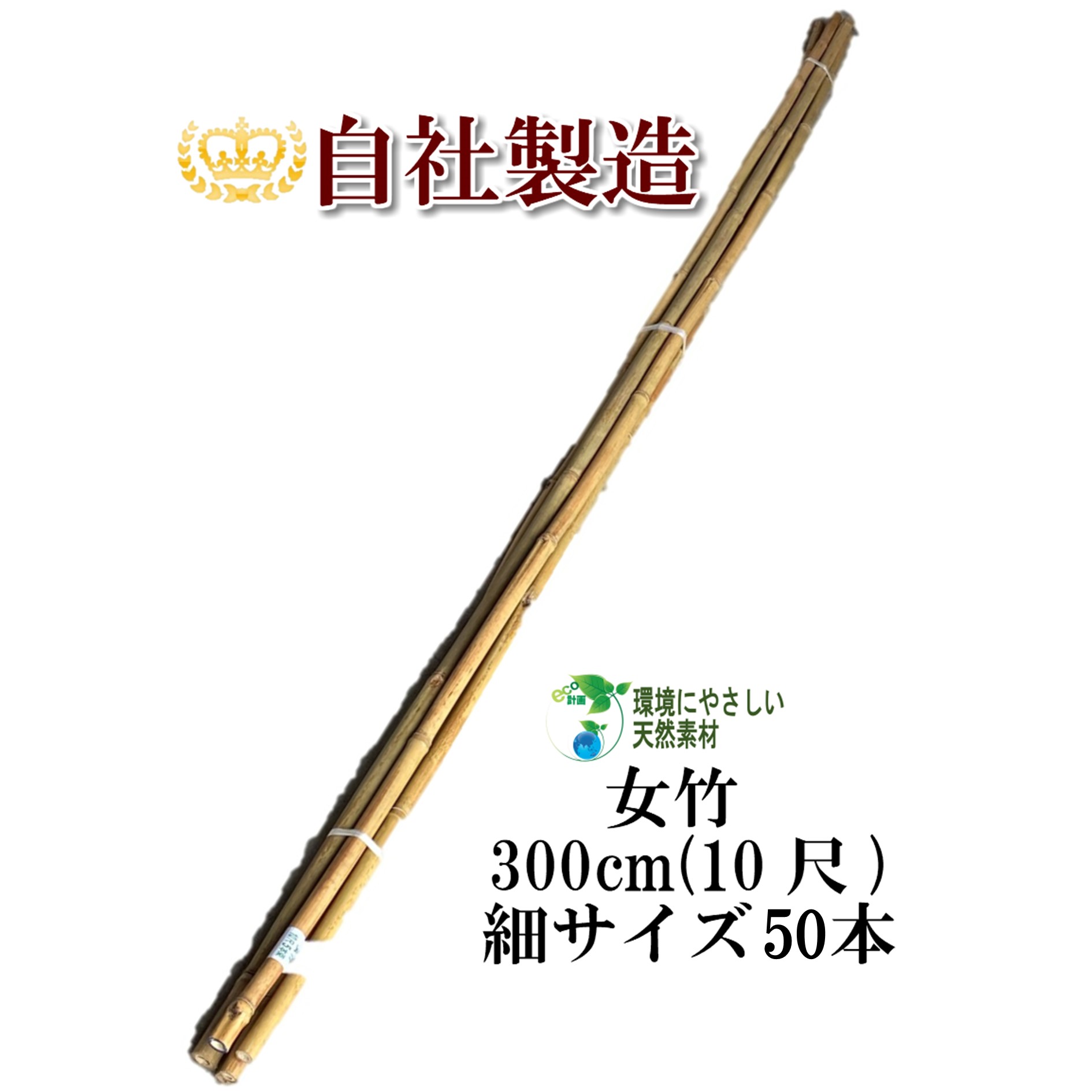 女竹 300cm 50本（細） 竹 支柱 篠竹 天然竹