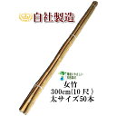 女竹 300cm 50本(太)竹支柱 添え木 園芸用 農業用 定植時支柱 竹加工用 竹 支柱 篠竹