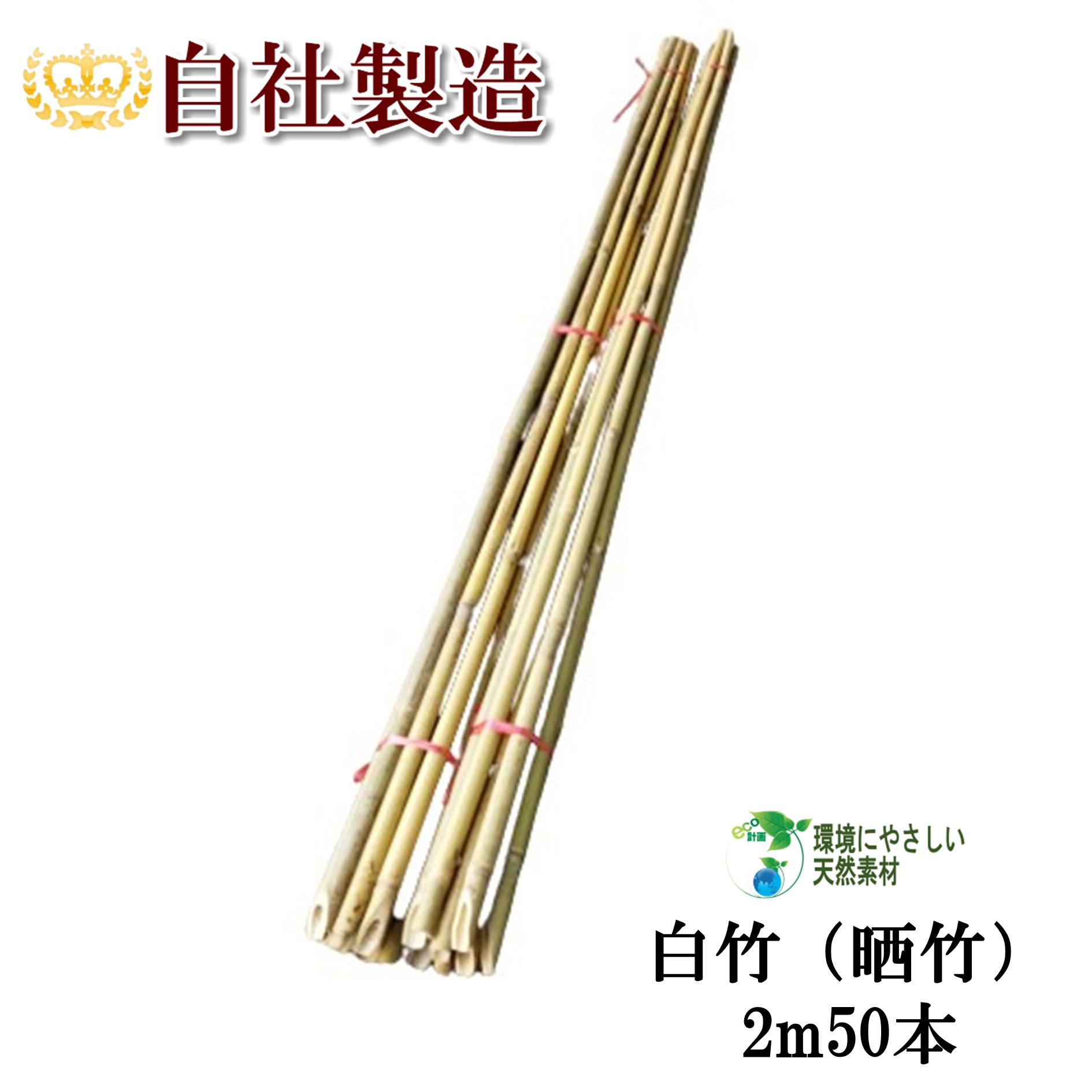 サイズ：2m×50本梱包 太さ：16～22mm（先端）、22～26mm（根元） ※天産品のため太さや状態にはばらつきがございます。予めご了承ください。 この白竹は、肉厚で耐久性のある竹で、園芸・造園用（支柱、雪囲い、竹垣など）や、竹加工用（竹細工）として幅広くご利用いただけます。 土に挿しやすいように根元を斜めにカットしていますので、樹木・庭木の雪囲い用、家庭菜園やガーデニングでの添え木支柱としていかがでしょうか。 天然素材なので、植物にも環境にもやさしい。 明細書は発行しておりませんのでご了承ください。 大変申し訳ございませんが、配送業者の都合上、沖縄・離島への配送は承っておりません。 また代金引換は不可、時間指定は午前または午後の区分となりますのでご了承くださいませ。■■■■■　白竹商品一覧　■■■■■ ●白竹1m　10本　 20本　 50本　 100本 ●白竹1.5m10本　 20本　 50本　 100本 ●白竹2m　10本　 20本　 50本　 100本 ●白竹2.5m10本　 20本　 50本　 100本 ●白竹3m　10本　 20本　 50本　 100本 ■■■■■■■■■■■■■■■■■■