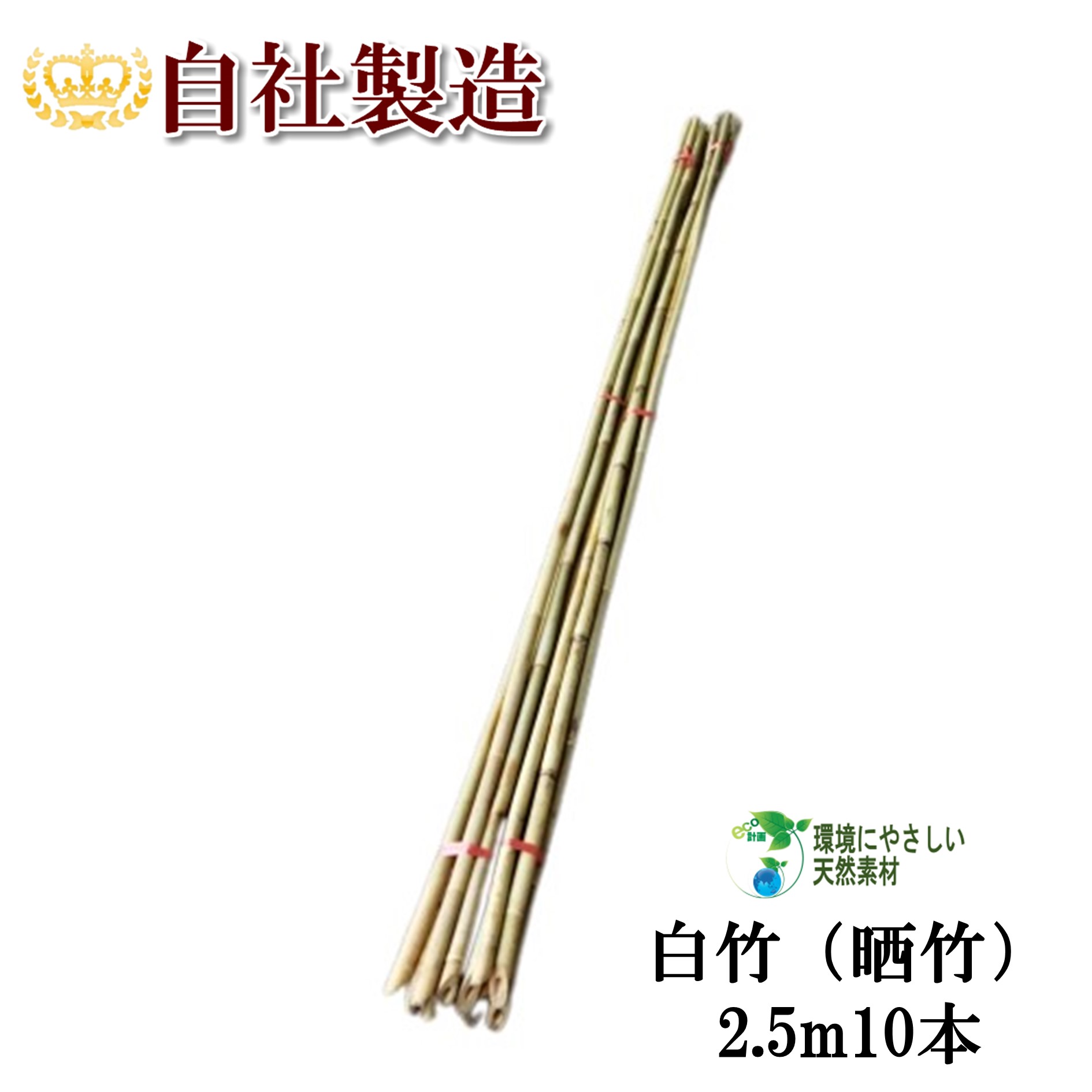 白竹（晒竹）2.5m 10本 天然竹 竹支柱 雪吊り 雪囲い 添え木などに 天然竹 竹 支柱