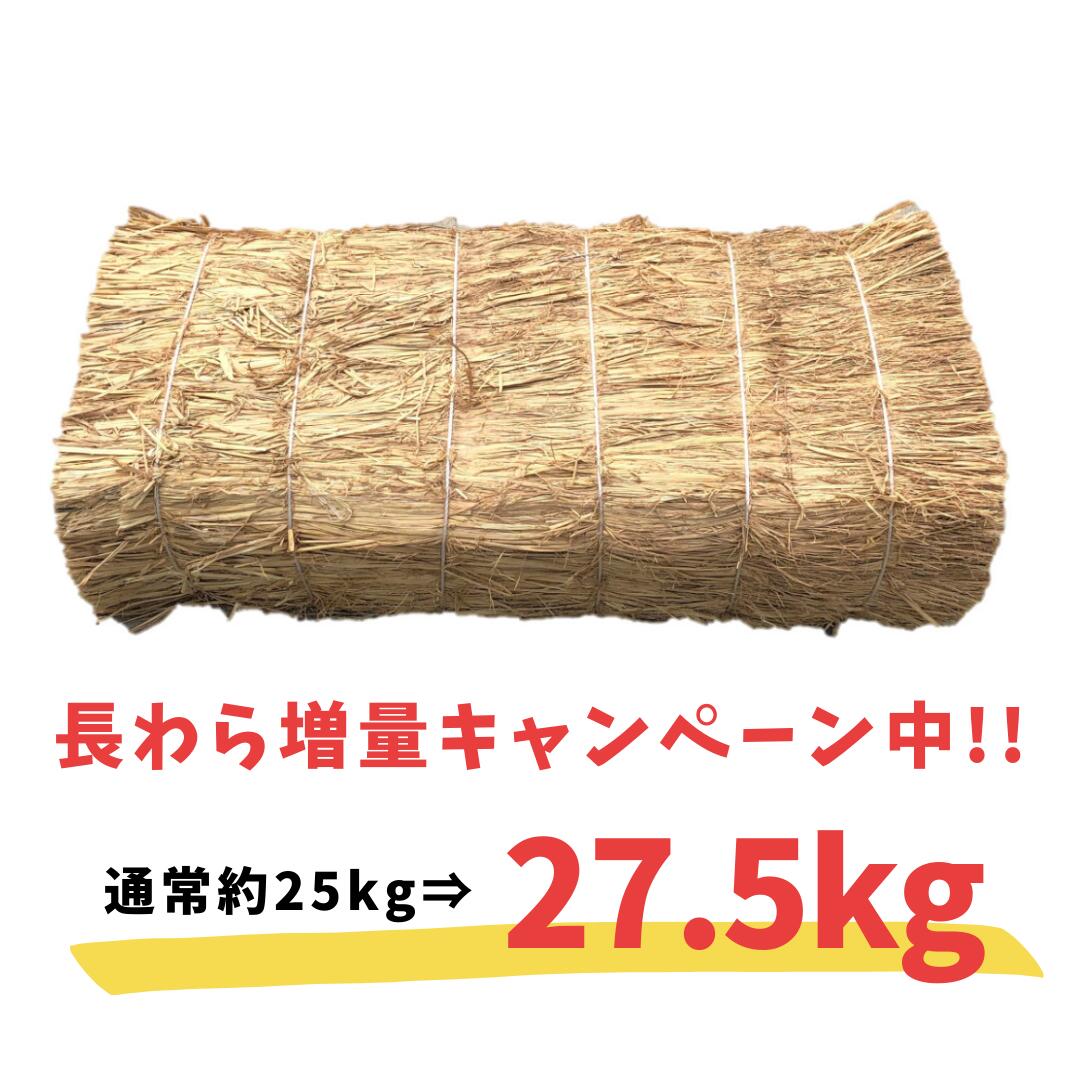 【今だけ10％増量中！】長わら 約25kg 大容量 藁 敷わら 稲わら 敷き藁 敷きわら 藁 わら