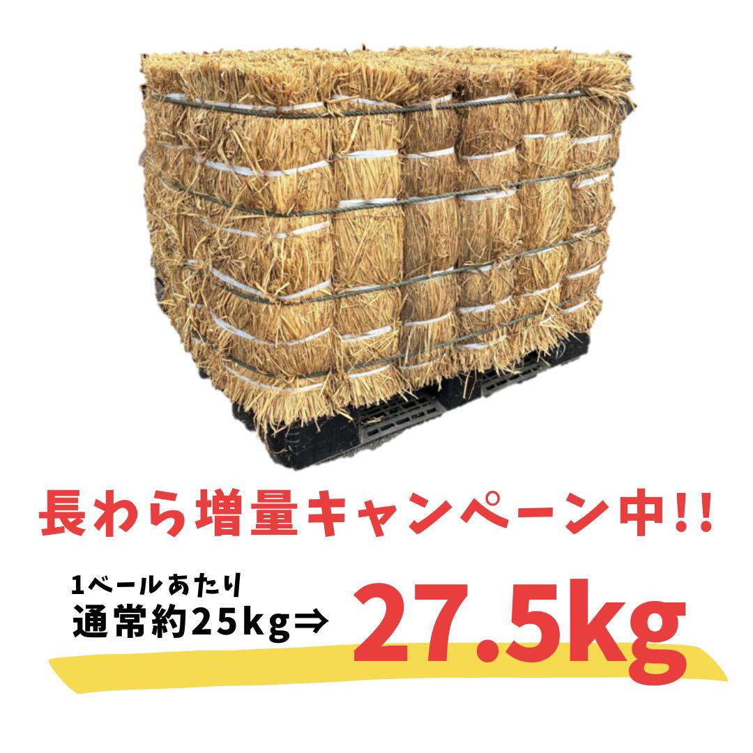 其它 - 【今だけ10％増量中！】長わら 約25kg 16ベール 大容量藁 敷わら 稲わら 敷き藁