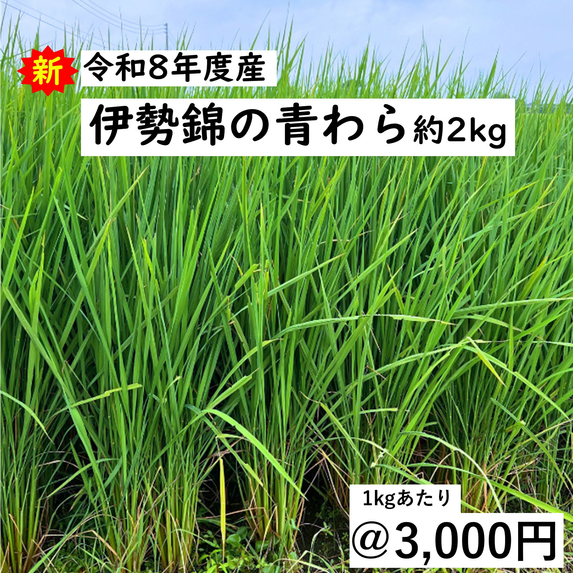 楽天市場】しめ縄 稲わらの通販