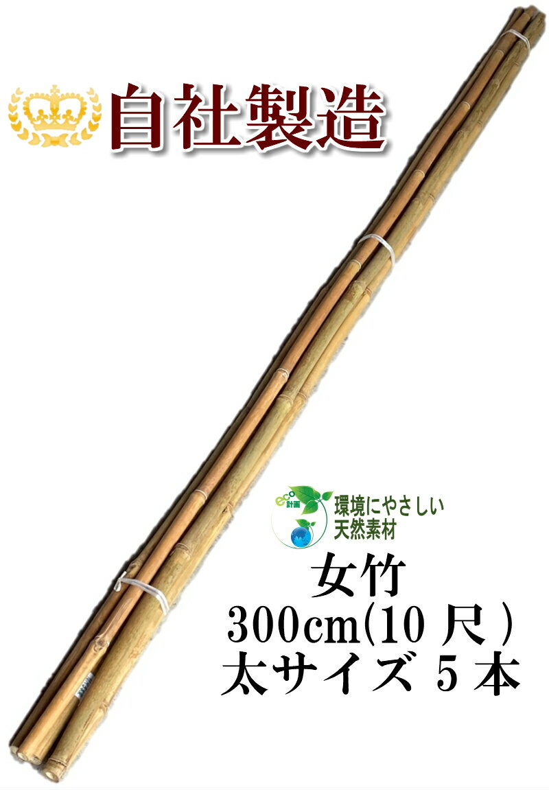 女竹 300cm 5本（太） 農業用、園芸用の支柱として幅広くご利用いただけます。 竹 支柱 篠竹