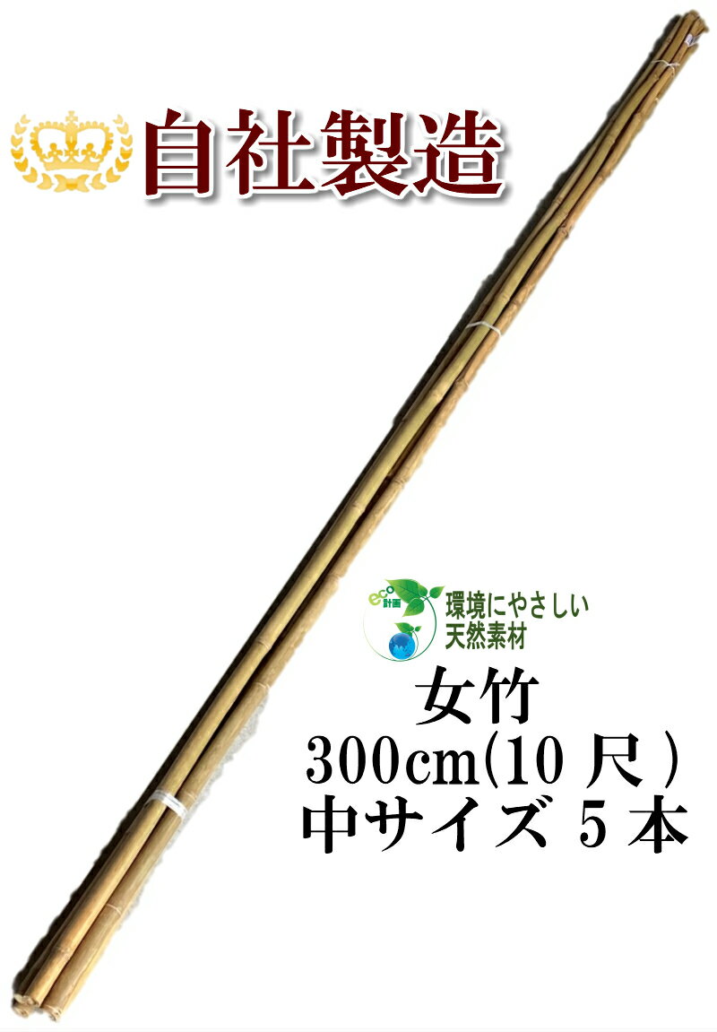 女竹 300cm 5本（中） 農業用、園芸用の支柱として幅広くご利用いただけます。 竹 支柱 篠竹