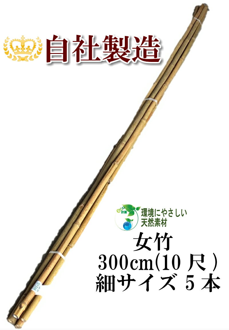 女竹 300cm 5本（細） 農業用、園芸用の支柱として幅広くご利用いただけます。 竹 支柱 篠竹