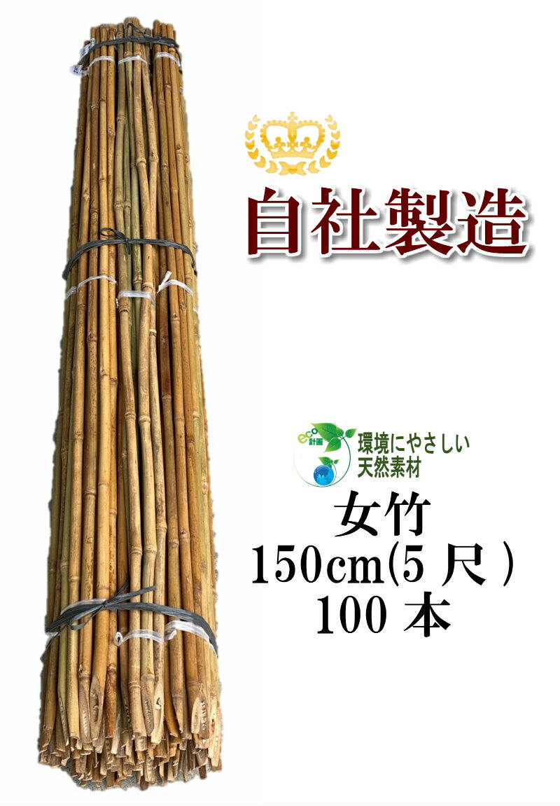 女竹 150cm 100本 農業用、園芸用の支