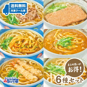 冷凍食品 うどん バラエティセット冷凍うどん かき揚げ 海老天 きつね カレー 牛肉 信乃田簡単 調理で 夜食 にも 便利な お取り寄せグルメ