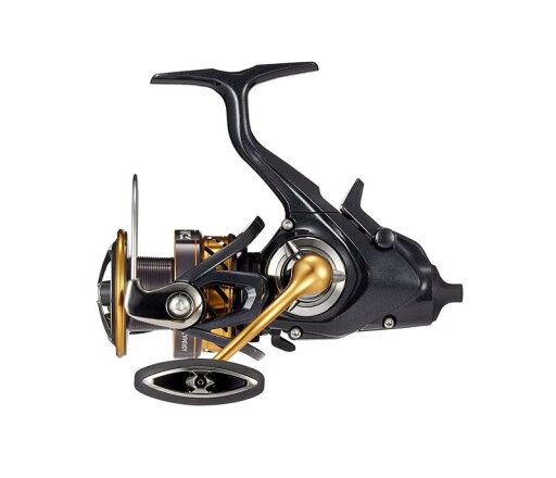 ダイワ(DAIWA) スピニングリール(ヤエン) 19 アオリマチックBR LT3000D(2019モデル) ダイワ(DAIWA) スピニングリール(ヤエン) 19 アオリマチックBR LT3000D(2019モデル)