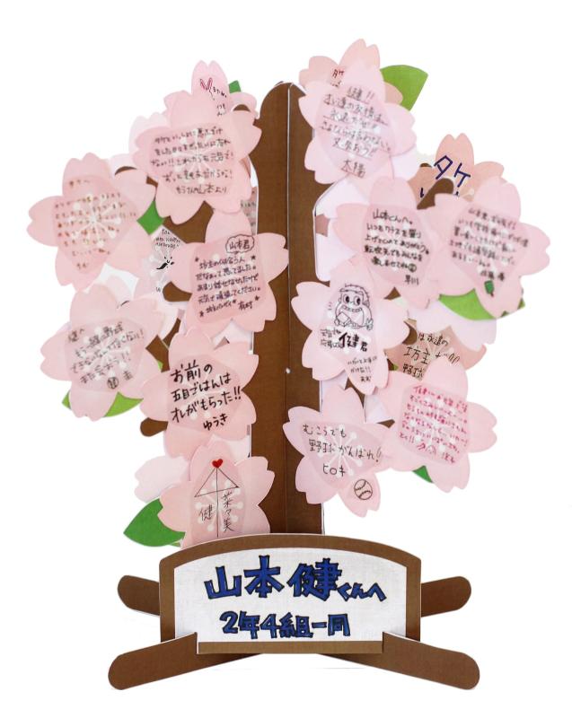 ե륿å åĥ꡼3  H25W23D23cm AR0819102 ԥ