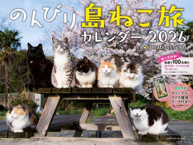 【購入者特典あり】2026 のんびり島ねこ旅カレンダー〈122万フォロワーsimabossnekoのかわいい猫写真〉（スマホ壁紙データ2種付き）（..