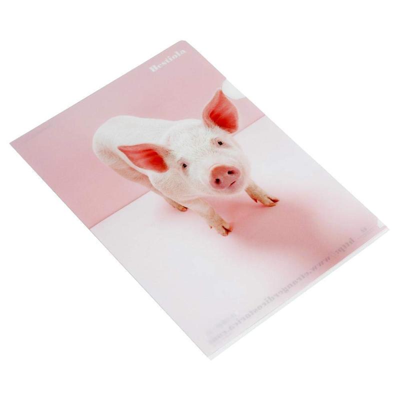 edc a 4 クリア ホルダ bestiola ピッグ pink