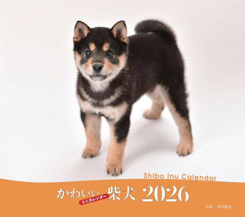 2026年カレンダー かわいい柴犬 (誠文堂新光社カレンダー)