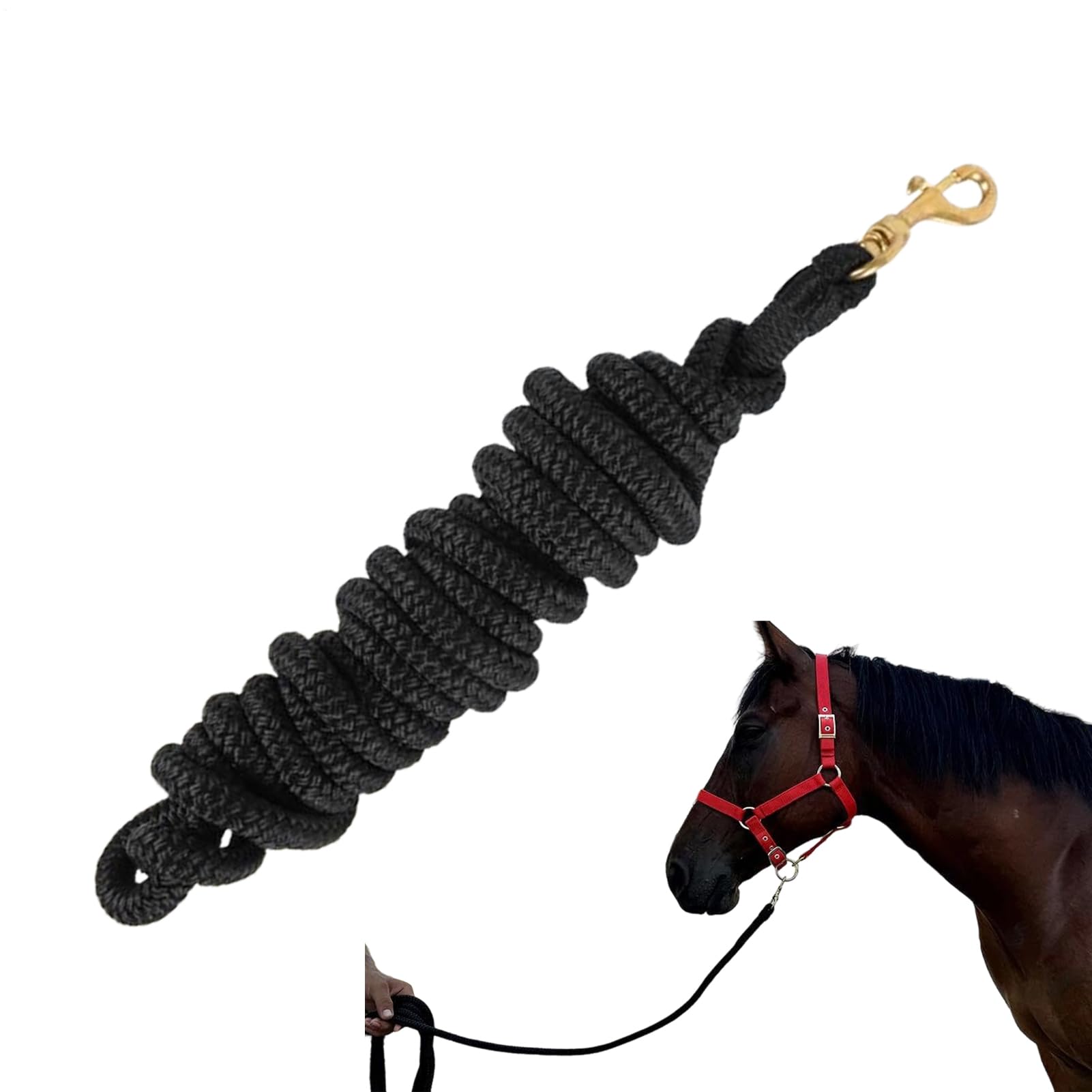 Rakuten - 馬用 リード ロープ | ナイロン パフォーマンス 馬具 | 馬用訓練ロープ ソフトグリップ付き | 屋外 バーン ファーム 牧場 厩舎 乗馬学校 ショー 競技 グルーミング トレイルライディング トレーナー向け