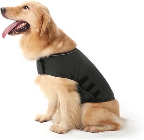 楽天市場】犬 サンダー シャツの通販