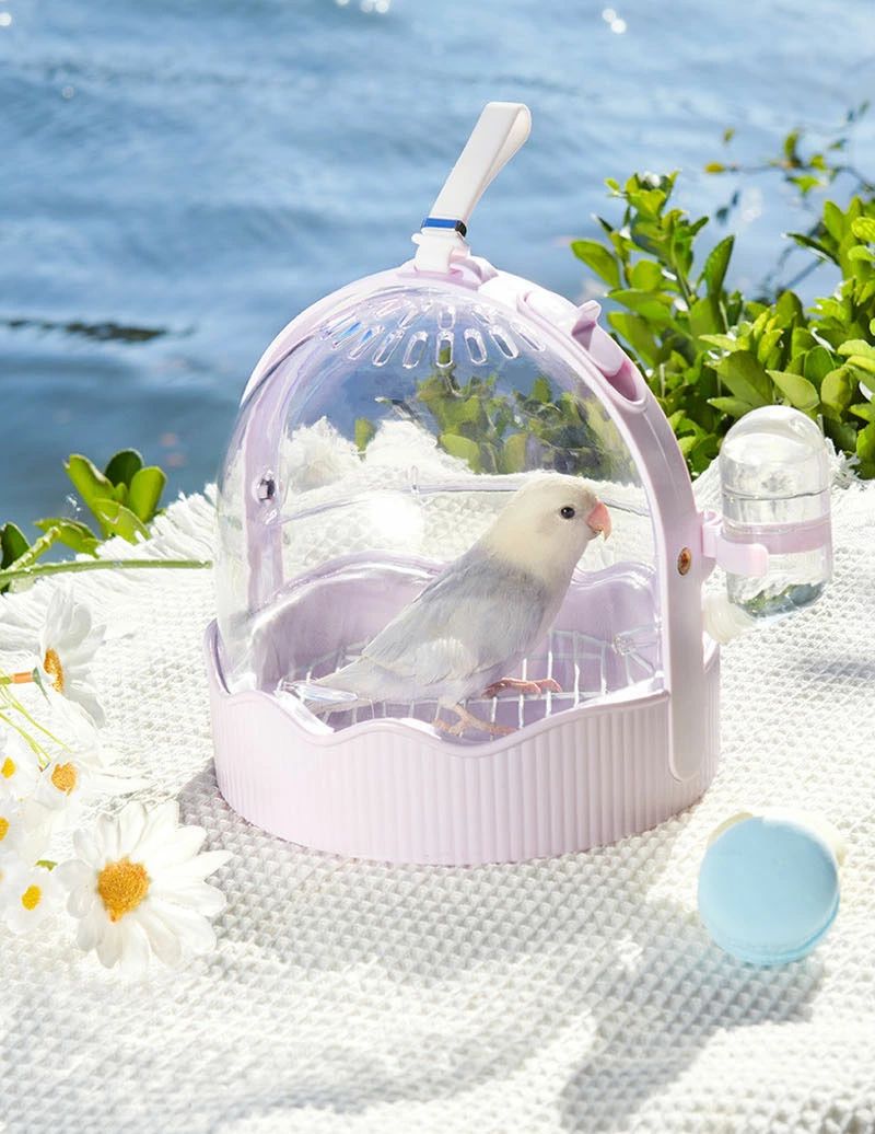 鳥かご ケージ 鳥かごケージ 小型 持ち運び 鳥 キャリーケース 透明 中が見える インコ 移動 キャリー ..