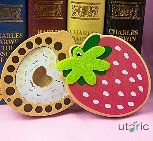 乳歯ケース 入れ歯ケース 子供 乳歯ボックス 乳歯箱 いちご 女の子 男の子 日付プレート付き 乳歯入れ ..