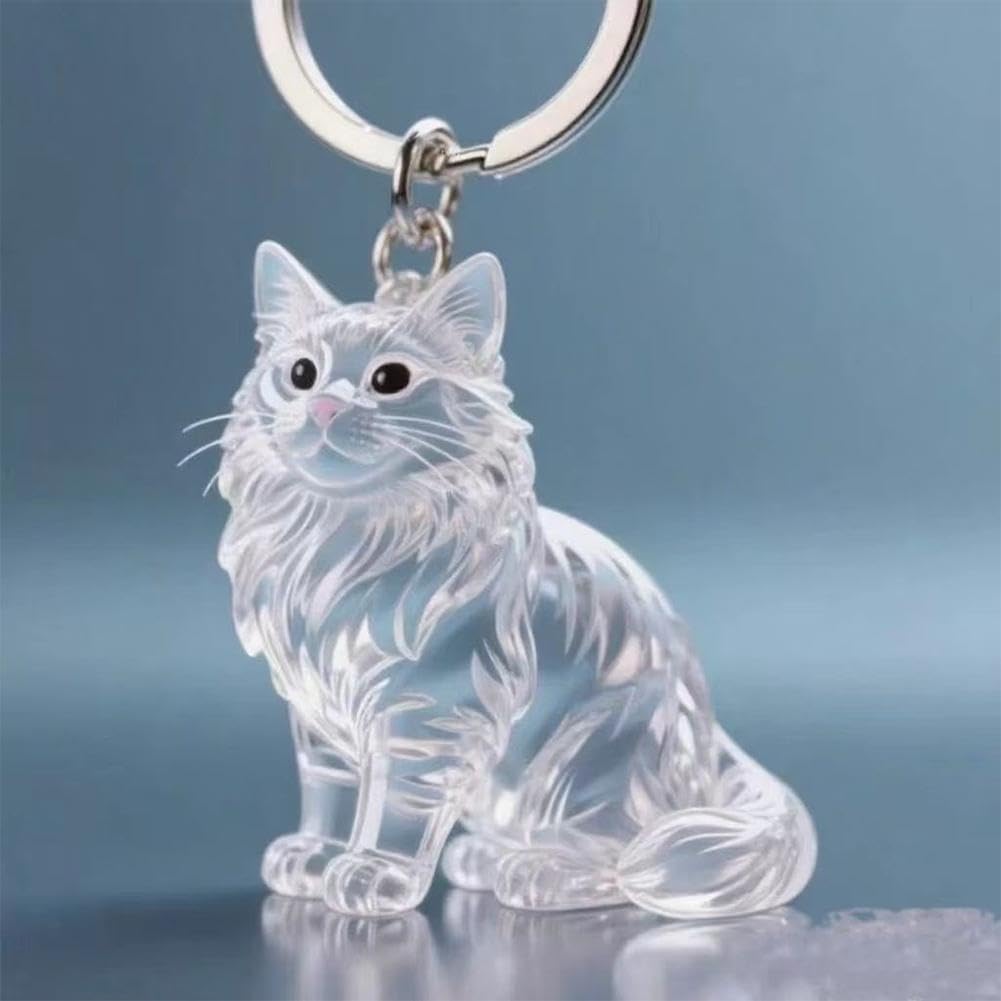 Sundries Box - [] ペット 遺毛 ケース 透明 可愛い 猫型収納ボックス ペットの毛収納キーホルダー カプセルトイ ペンダント キーチェーン クリエイティブキャッツファーコレクションコンテナ ペットメモリアルボトル 犬 猫 小動物の記念品 [並行輸入品]