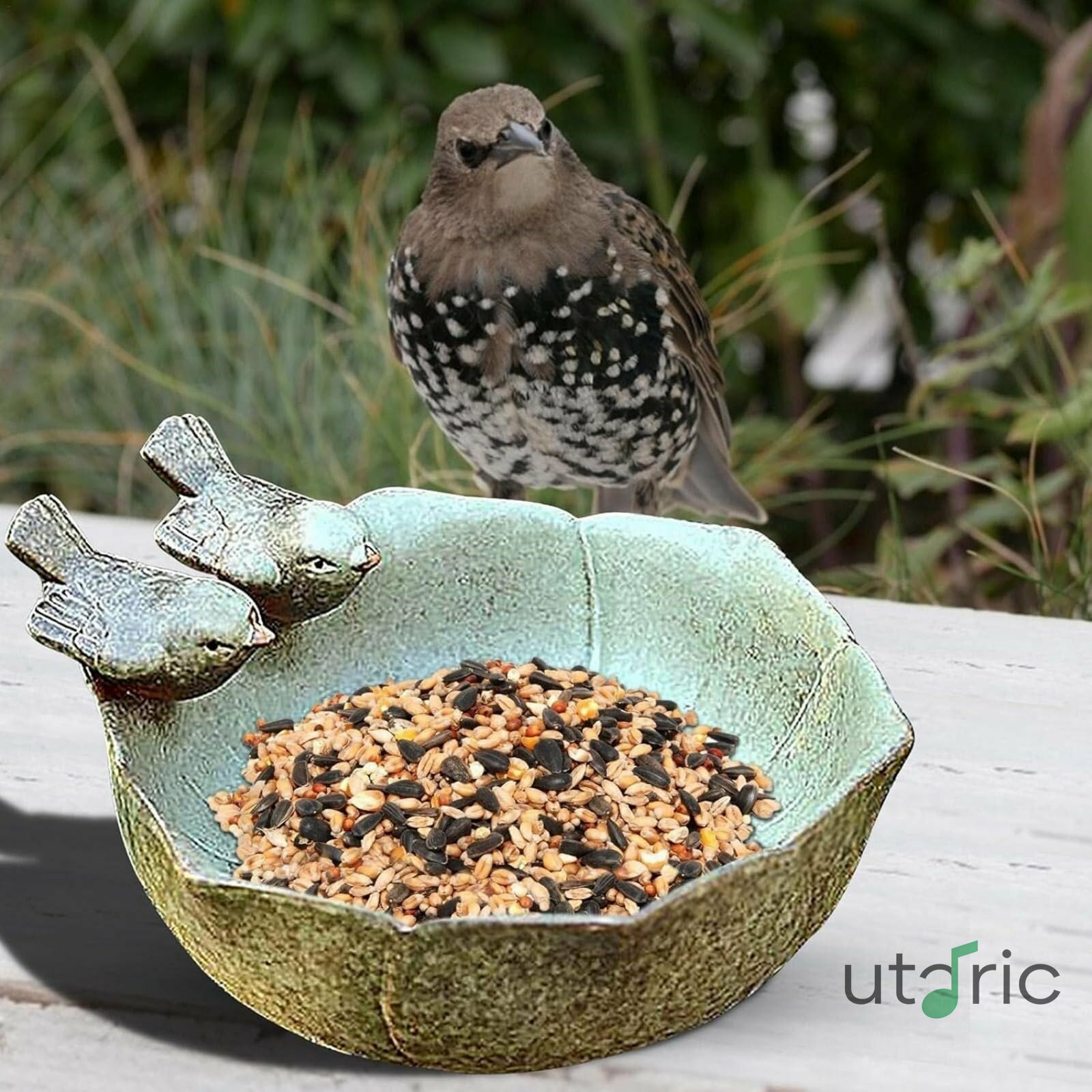 陶器植木鉢 穴なし｜バードフィーダー・バスボウル 水耕栽培用｜睡蓮・水仙育成に最適｜創造的貯金箱 家居・水槽装飾兼用