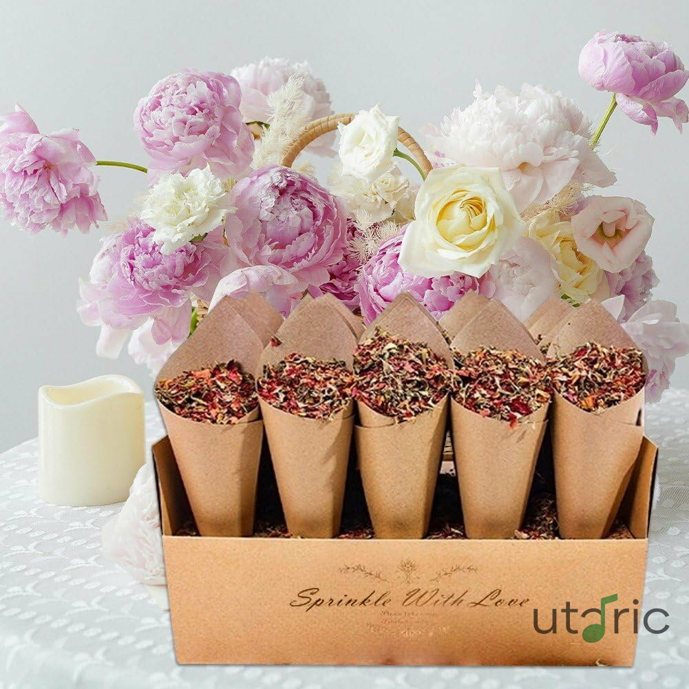 紙吹雪コーンホルダー ウェディング サポート 結婚式 紙吹雪コーンスタンド ボックス トレイ ウェディ..