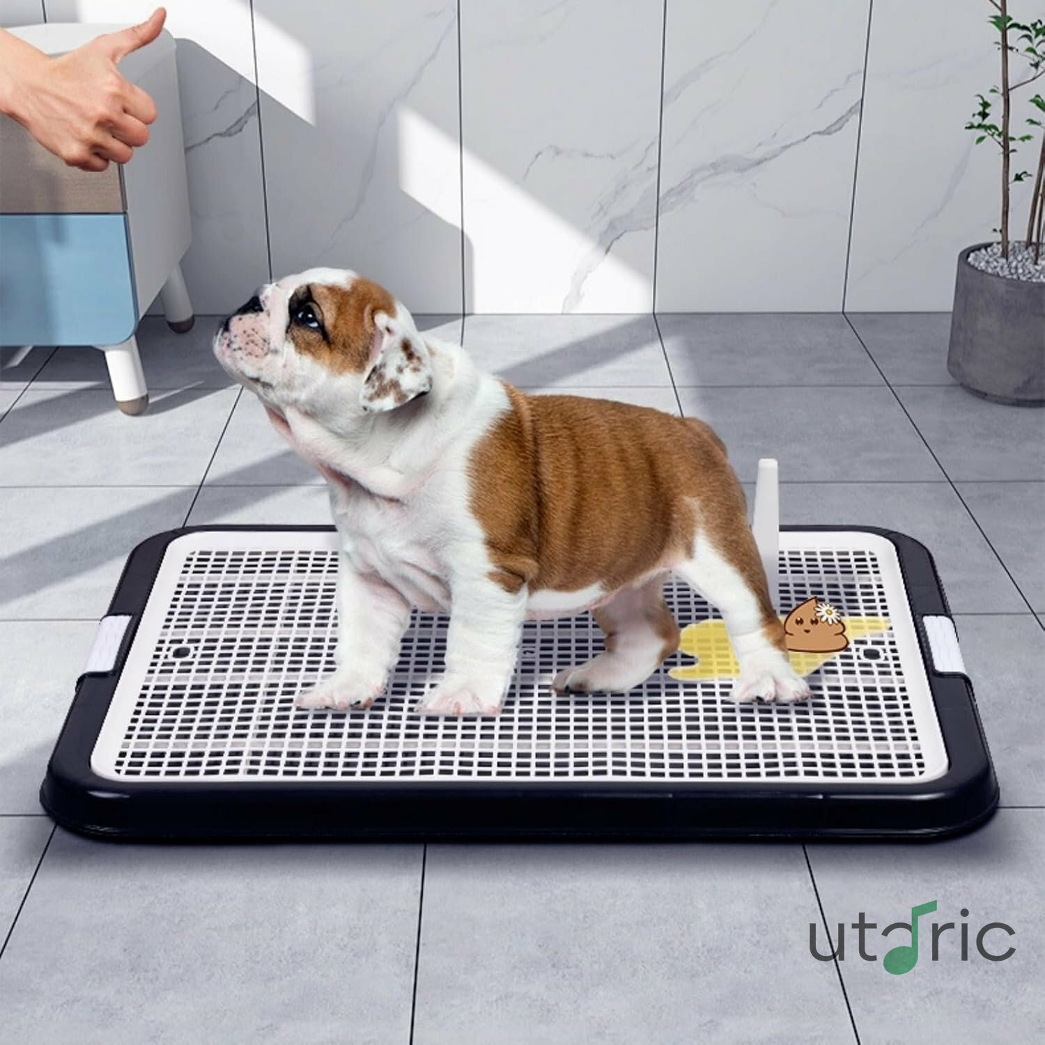 Rakuten - 犬用トイレトレー（パレットボックス） 屋内・屋外両用 はみ出し防止エッジ付き 抗菌仕様 お手入れ簡単 マーキングロッド付き 滑り止めメッシュ トレーニングに最適 ペット用品 (コーヒー)