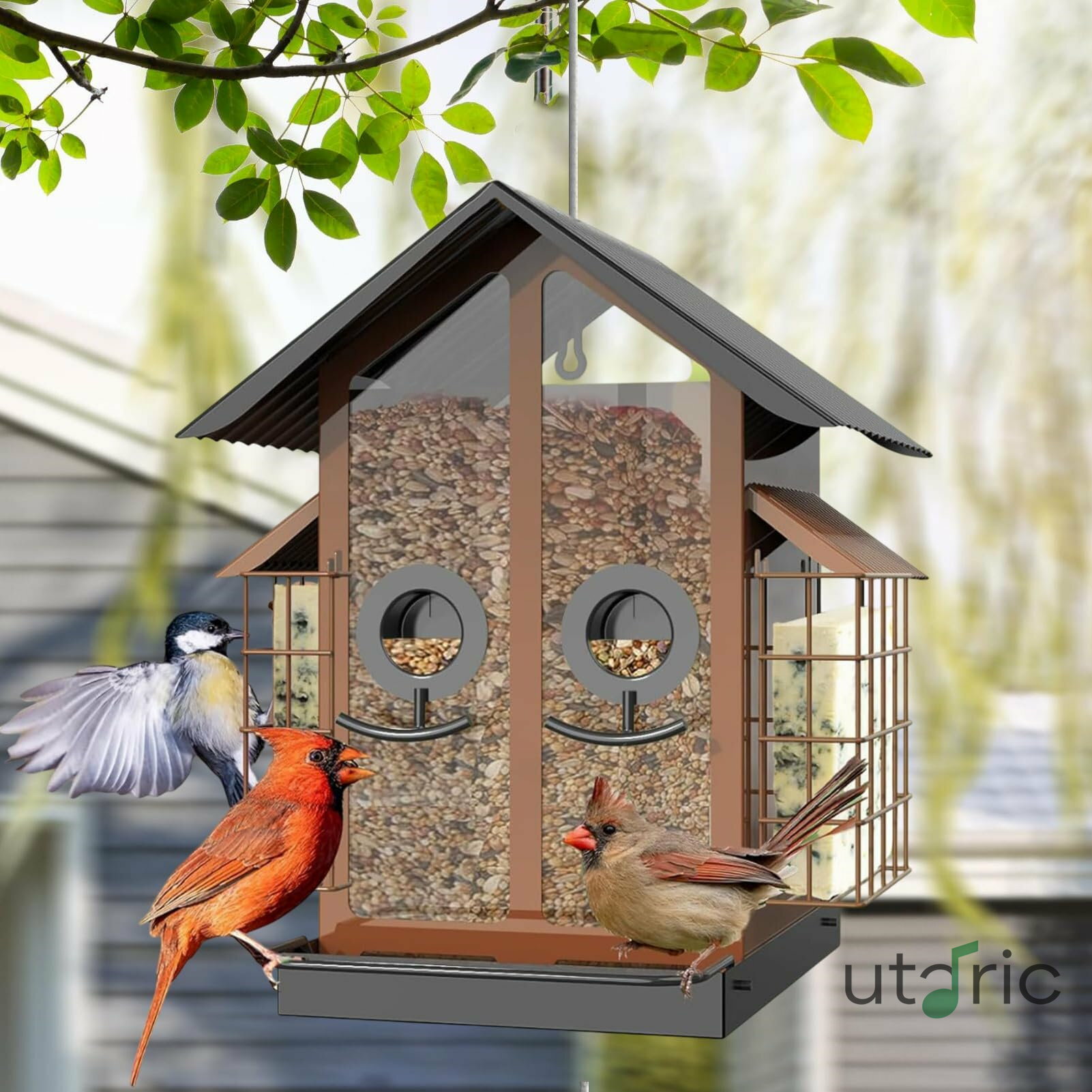 屋外リス対策 鳥の餌台 | 金属製透明 ダブル屋根付き 鳥の餌箱 | バルコニー デッキ ガーデン パティオ 自然愛好家向け バードウォッチング用品