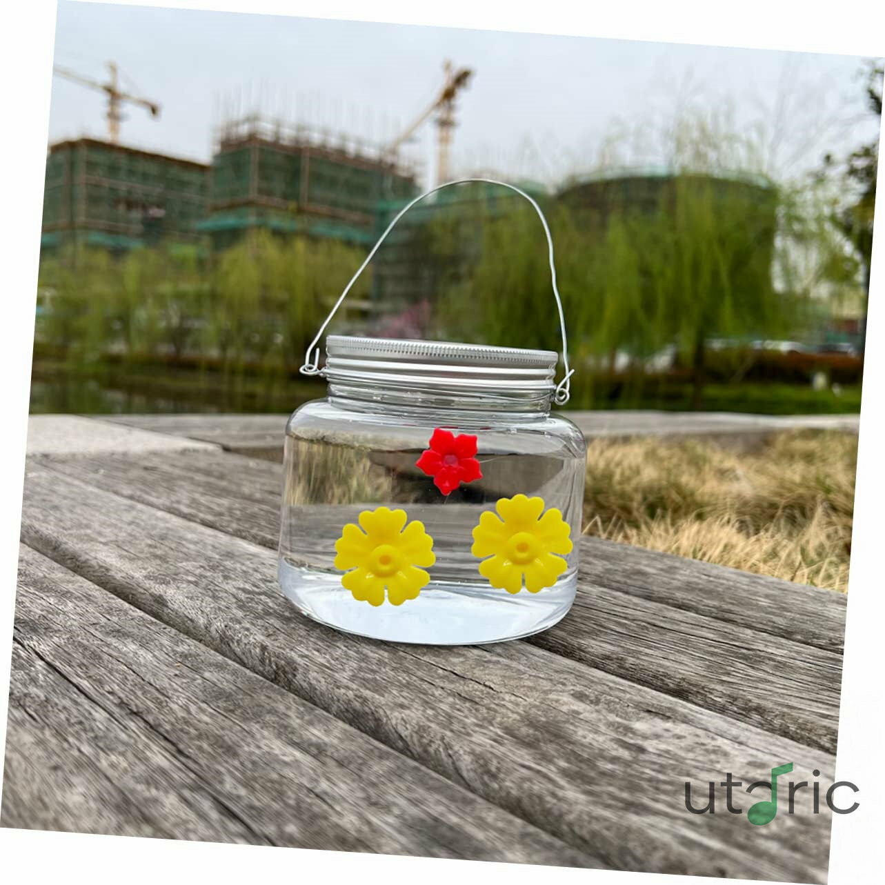 20 ĻαȢβ  ĻαȢ֤鲼  ե Ļαդ  ¸β֤θ ݿ   ץ饹å Yellow