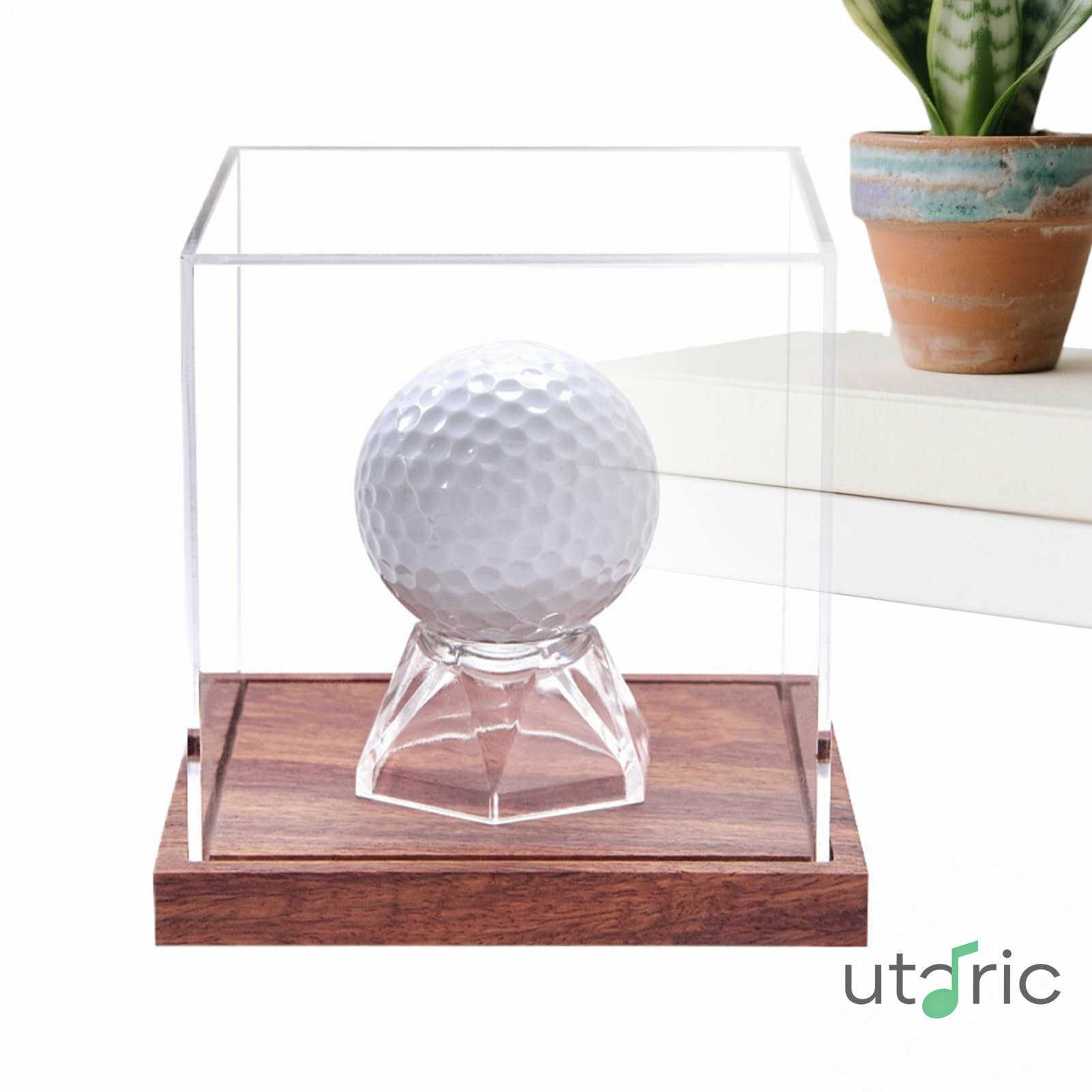 ゴルフボールホルダー ディスプレイ 木製スタンド付き野球ボール収納ボックス | 防塵 トロフィー 収納ケース スポーツ アクセサリー