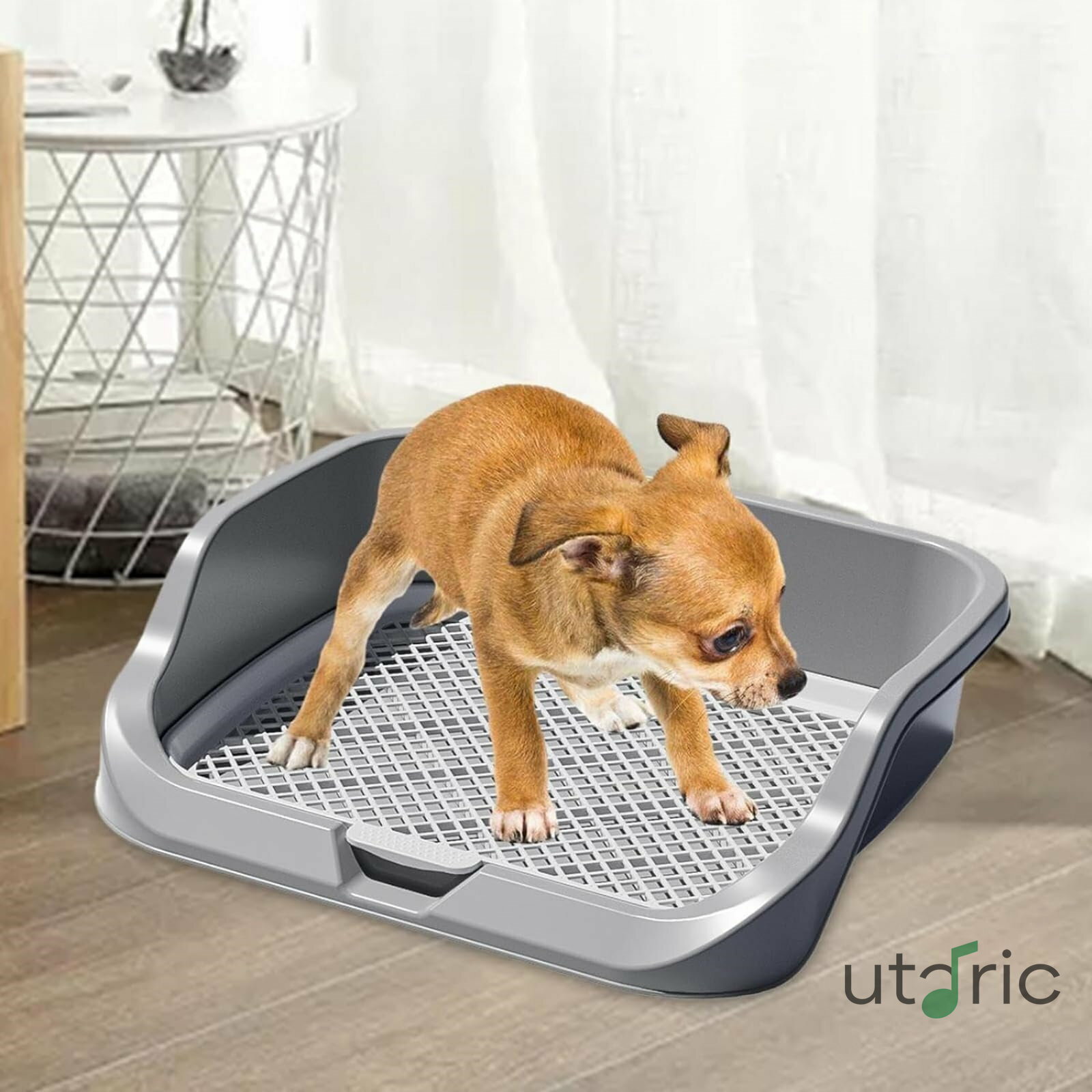 �� �ȥ��� �� �ȥ���ȥ졼 �磻�� �ݸ��ݽ�����ñ �ڥåȥȥ��� �ȥ졼�˥󥰥ȥ��� ��å���ȥ� ��å���ȥ졼 ���ȥ���ȥ졼 ���ӻ����ɻ��ɥץ졼���դ�...