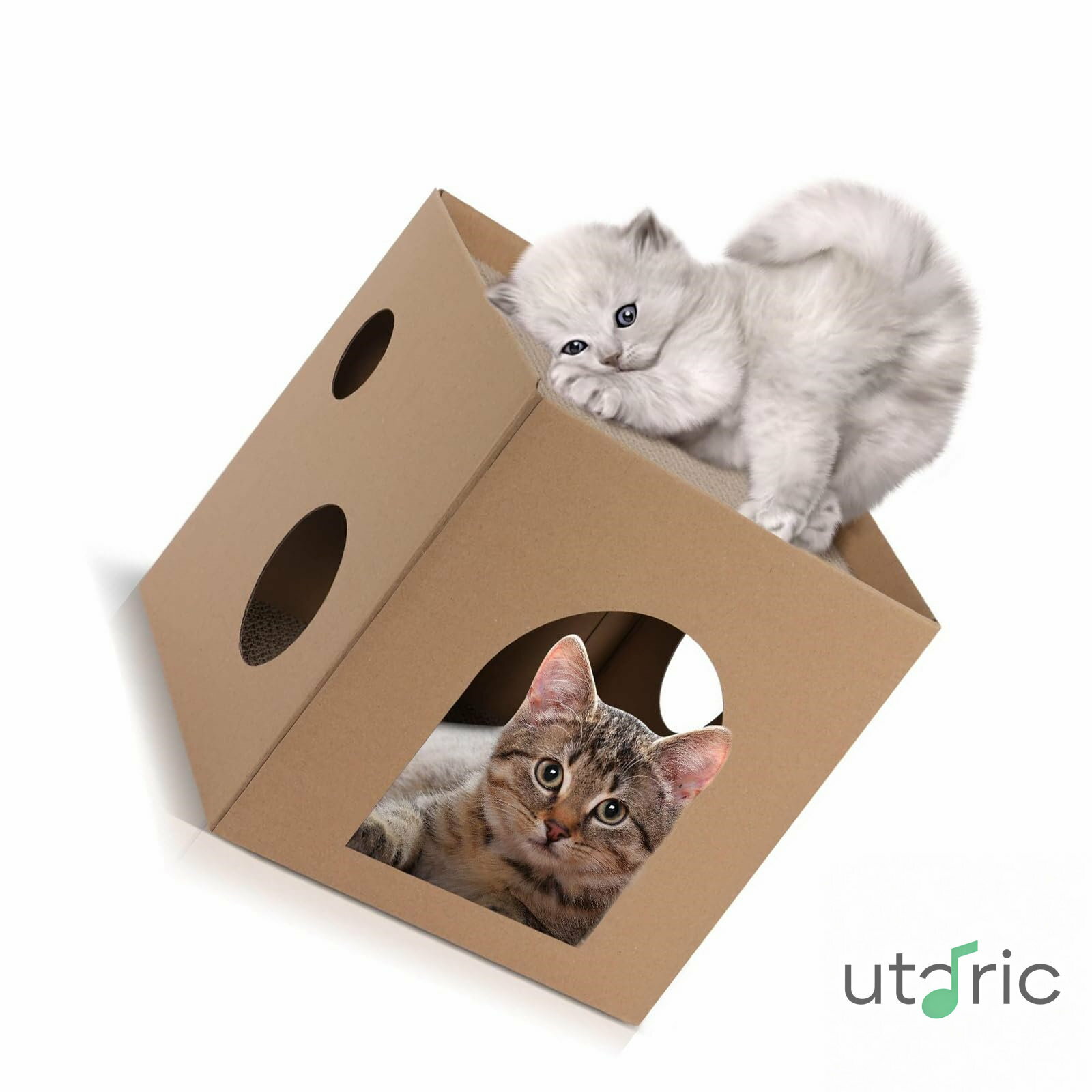 Rakuten - 猫 爪研ぎ 爪とぎ ダンボール キャットハウス ダンボール 猫つめとぎ 運動不足 ストレス解消 高密度 耐久 通気 箱型 キャット 猫の爪とぎ 爪とぎ 段ボール