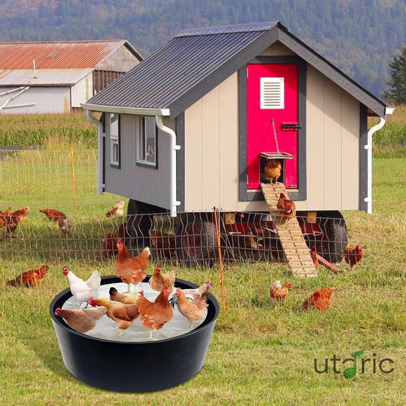 チキン ダスト バス タブ - 鶏小屋アクセサリー 64cm底なし調整可能ボックス 家禽・鴨・プール・農場・雌鶏・雄鶏用