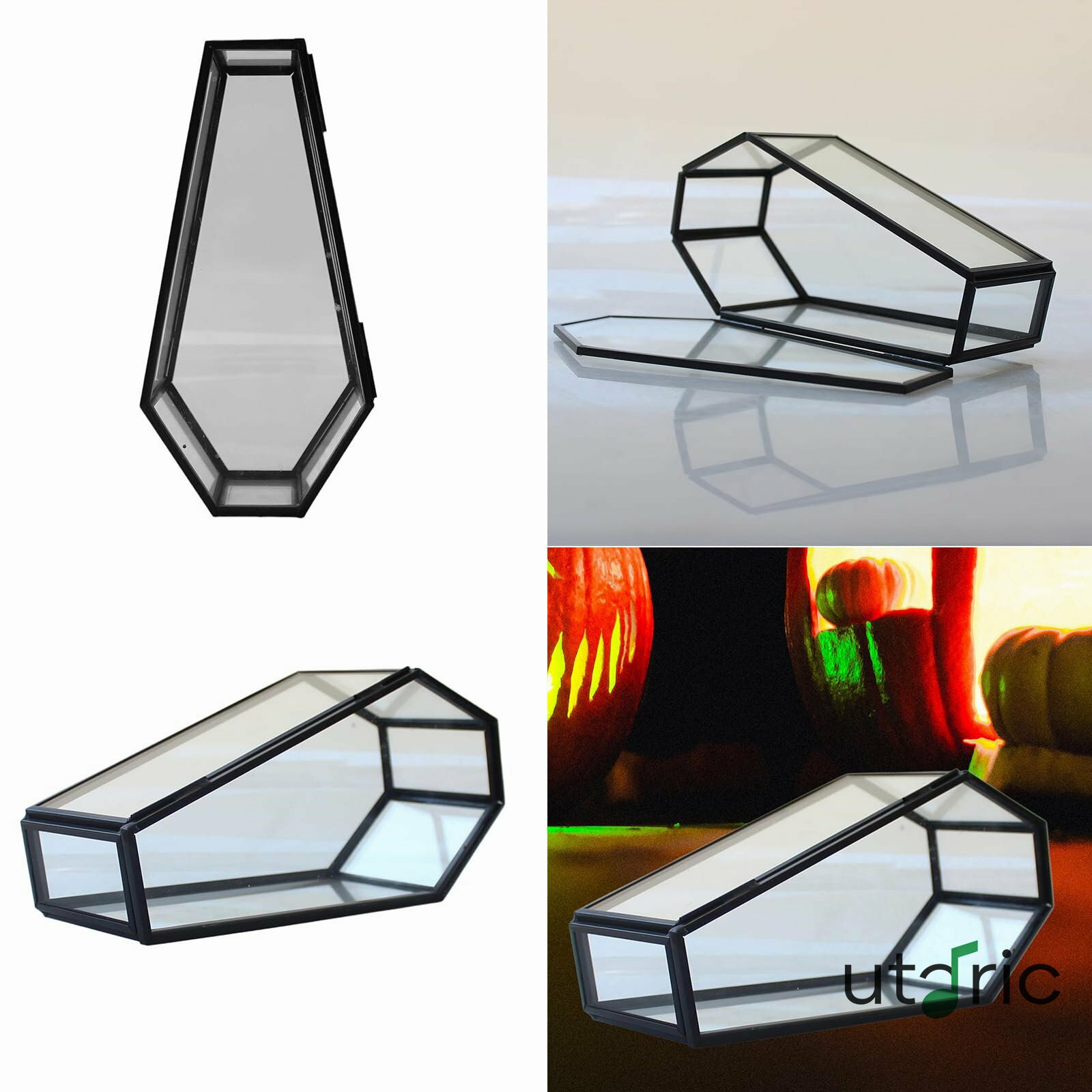 エレガントなガラス棺レトロジュエリーホルダーハロウィンテーマ透明ガラス棺型ジュエリーボックスヴィンテージ愛好家のための