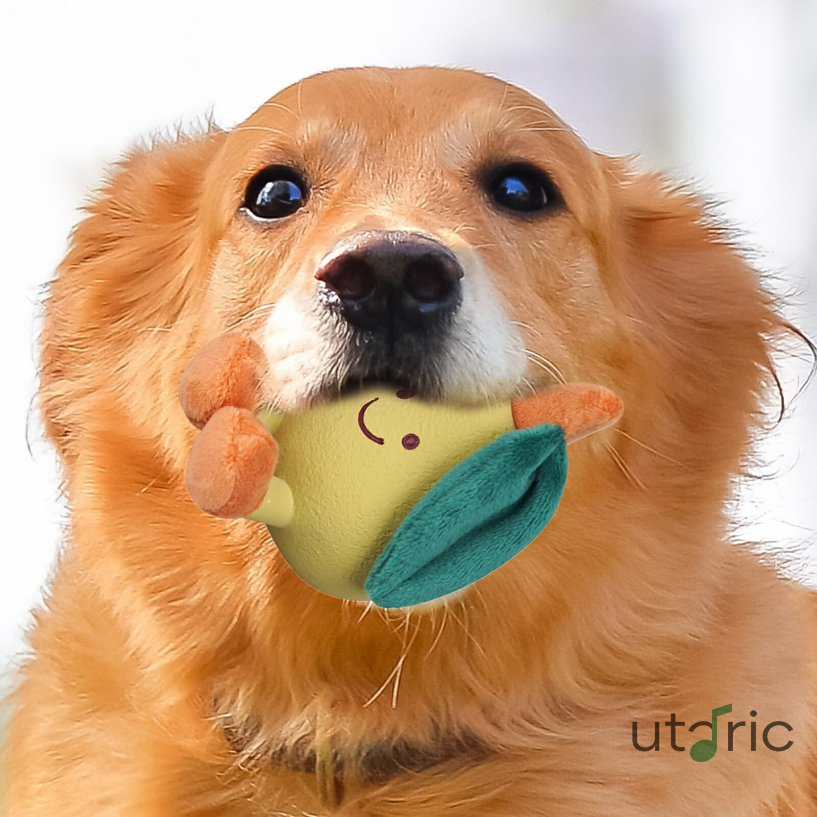 犬用ガムトイ 噛むおもちゃ | インタラクティブフルーツ噛むおもちゃ 音付き インタラクティブぬいぐるみペット用品 歯がため用 中型大型犬用 子犬遊び クリスマス誕生日ギフト 家庭用