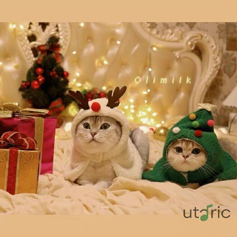 ペット服 クリスマス 犬服 猫服 ふわふわ 防寒 ハロウィン コスチューム マント カチューシャ かわいい スカーフ ケープ クリスマス服 仮装 被り物 可愛い 変身服 トナカイ サンタ パーティー お祝い コスプレ 人気 記念撮影 Mサイズ (クリスマスツリー) 3
