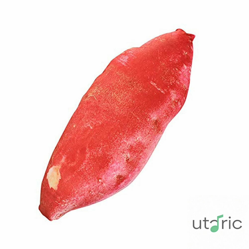 サツマイモ 抱き枕 ぬいぐるみ おもちゃ リアル さつま芋 野菜 かわいい 雑貨 クッション 昼休み 添い寝 ふわふわ お祝い プレゼント 店飾り 薩摩芋 リアル果物 昼寝枕 食店飾り おもしろ雑貨 創造的 縫いぐるみ 誕生日 ギフト クリスマス 誕生日 贈り物 (55cm)