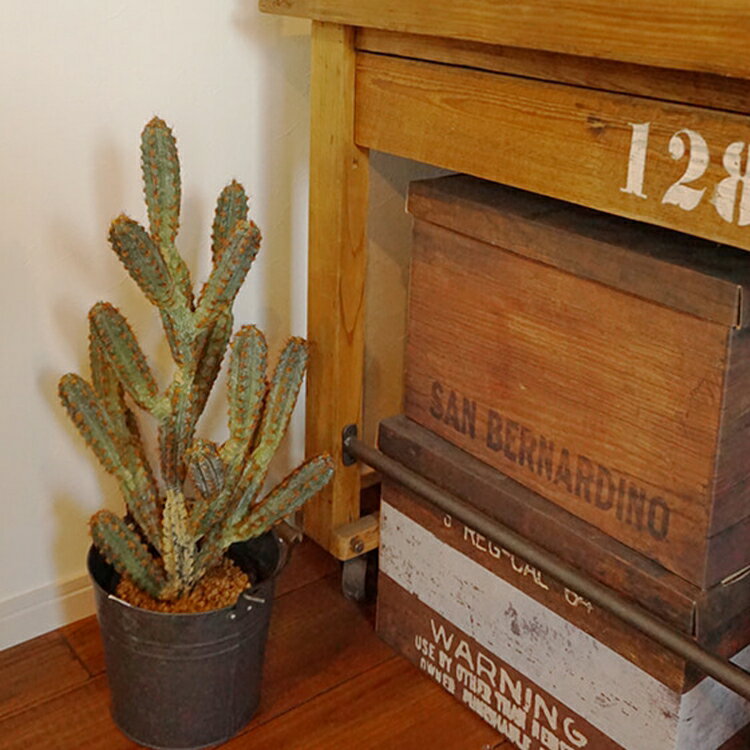 待望の再入荷 フェイクグリーン 人工観葉植物 カクタスポット さぼてん サボテン インテリア 造花 観葉植物 デコレーション 模様替え モダンリビング ナチュラル 緑のある暮らし 装飾 北欧 ディスプレイ ショップ 開店祝い 引越し祝い 在庫処分大特価 Sichomphu Go Th