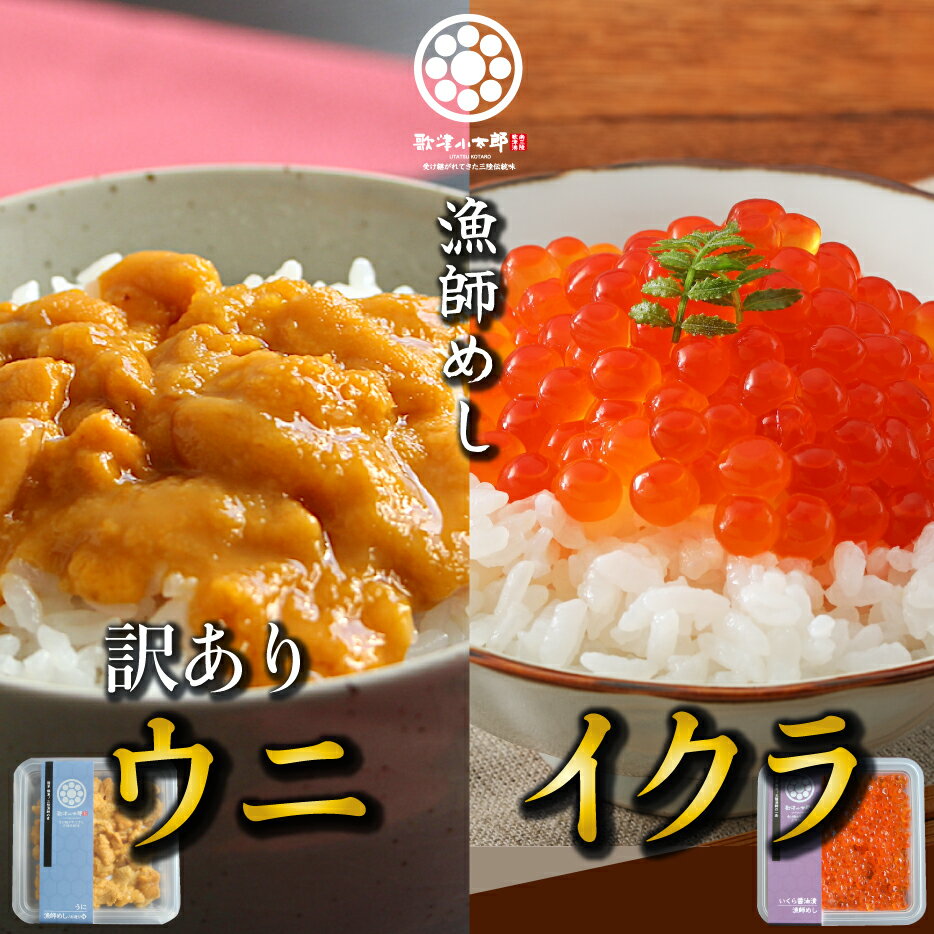 海鮮丼 父の日 ギフト プレゼント 【ウニいくらセット】訳ありウニ 70g いくら醤油漬 80g ミョウバン不使用 三陸 ウニ うに 雲丹 イクラ 送料無料 冷凍 贈答用 うに丼 グルメ 海鮮 うにいくら丼 訳あり ワケアリ 味は訳なし ハレの日に三陸の海鮮