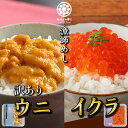 ウニいくらセット 訳ありウニ 70g いくら醤油漬 80g ミョウバン不使用 訳あり ハレの日 母の ...