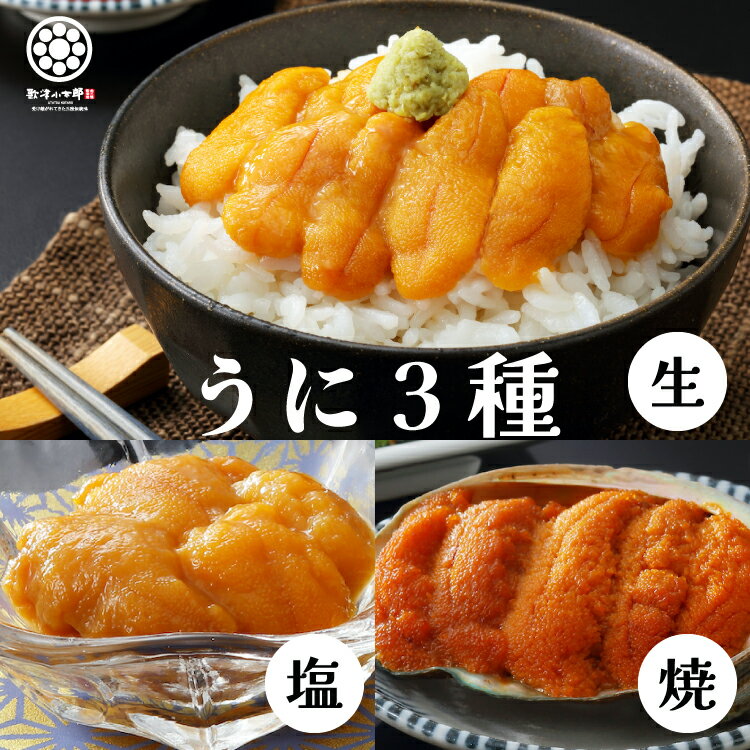 父の日 ギフト プレゼント 【ウニ 3種 セット】 ミョウバン不使用 三陸 雲丹 うに お造り 焼きうに 塩うに 産地直送 送料無料 珍味 冷凍 贈答用 おつまみ 酒の肴 うに丼 お取り寄せ グルメ 高級 海鮮 ハレの日の食卓に三陸の海鮮