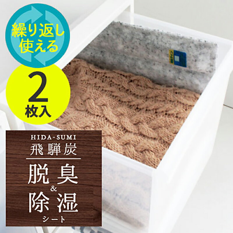 飛騨炭 脱臭除湿 押し入れ収納ケース用 [炭 脱臭 除湿 防カビ 消臭 押し入れ タンス 国産 エコ ECO]